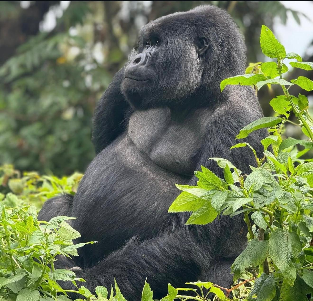 Rwanda